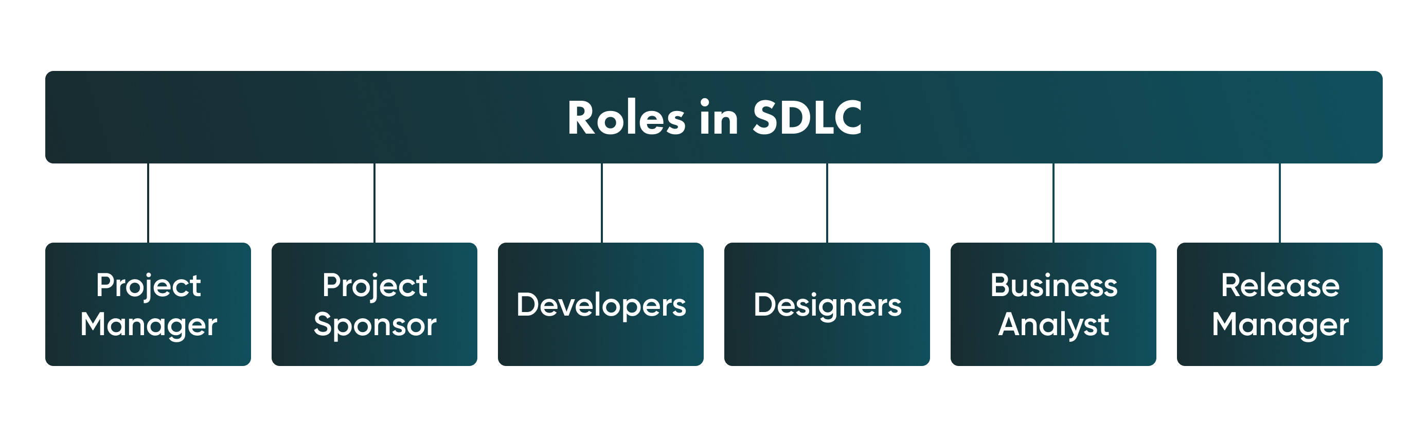 Among specialists who participate in the SDLC process, some of whom work is vital for the project. For example, there is the project manager, project sponsor, developers, designers, the business analyst, and the release manager.