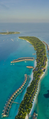 Travel & Hospitality