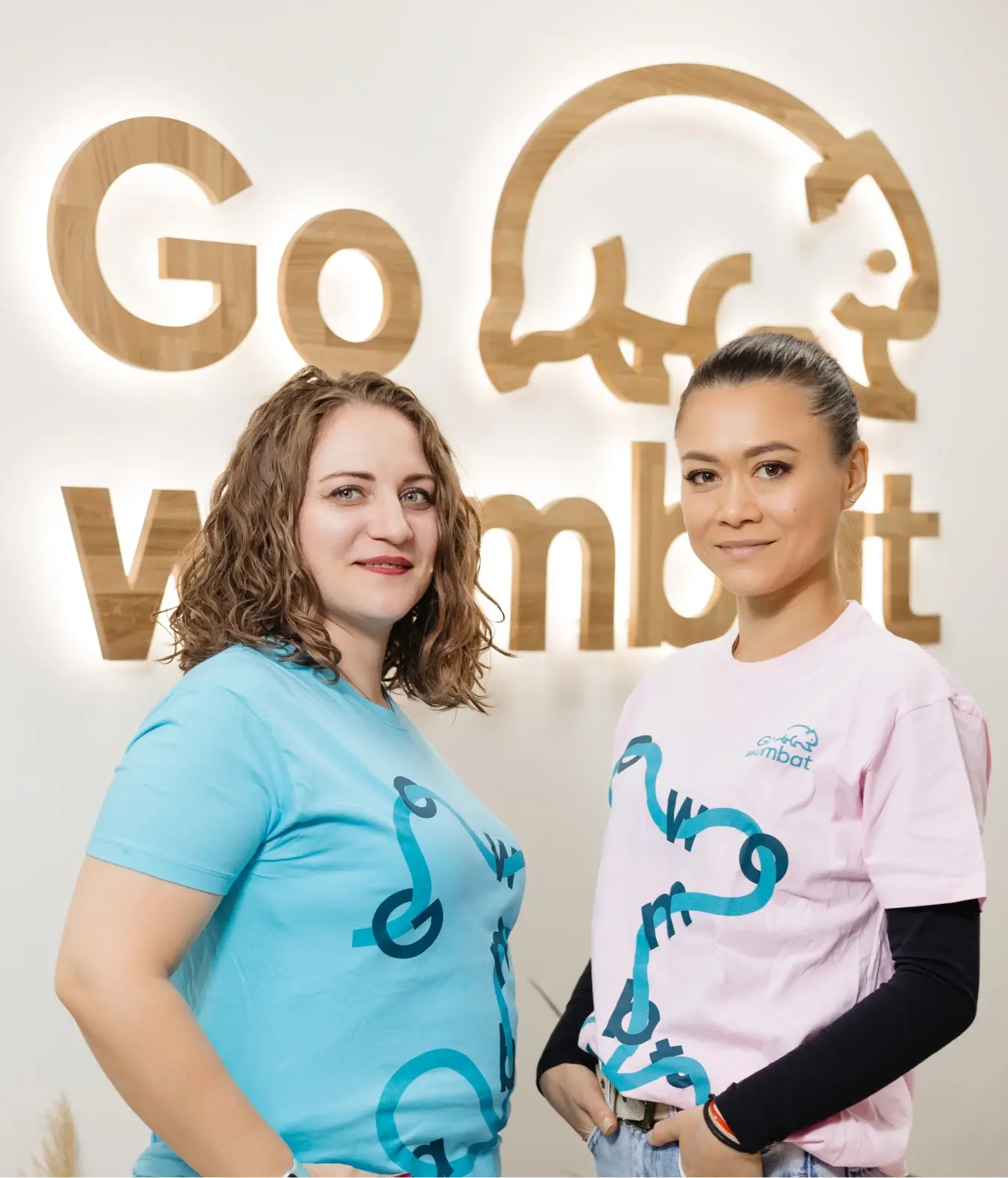 Go Wombat as a <span>Data Visualisation</span> Consulting Company