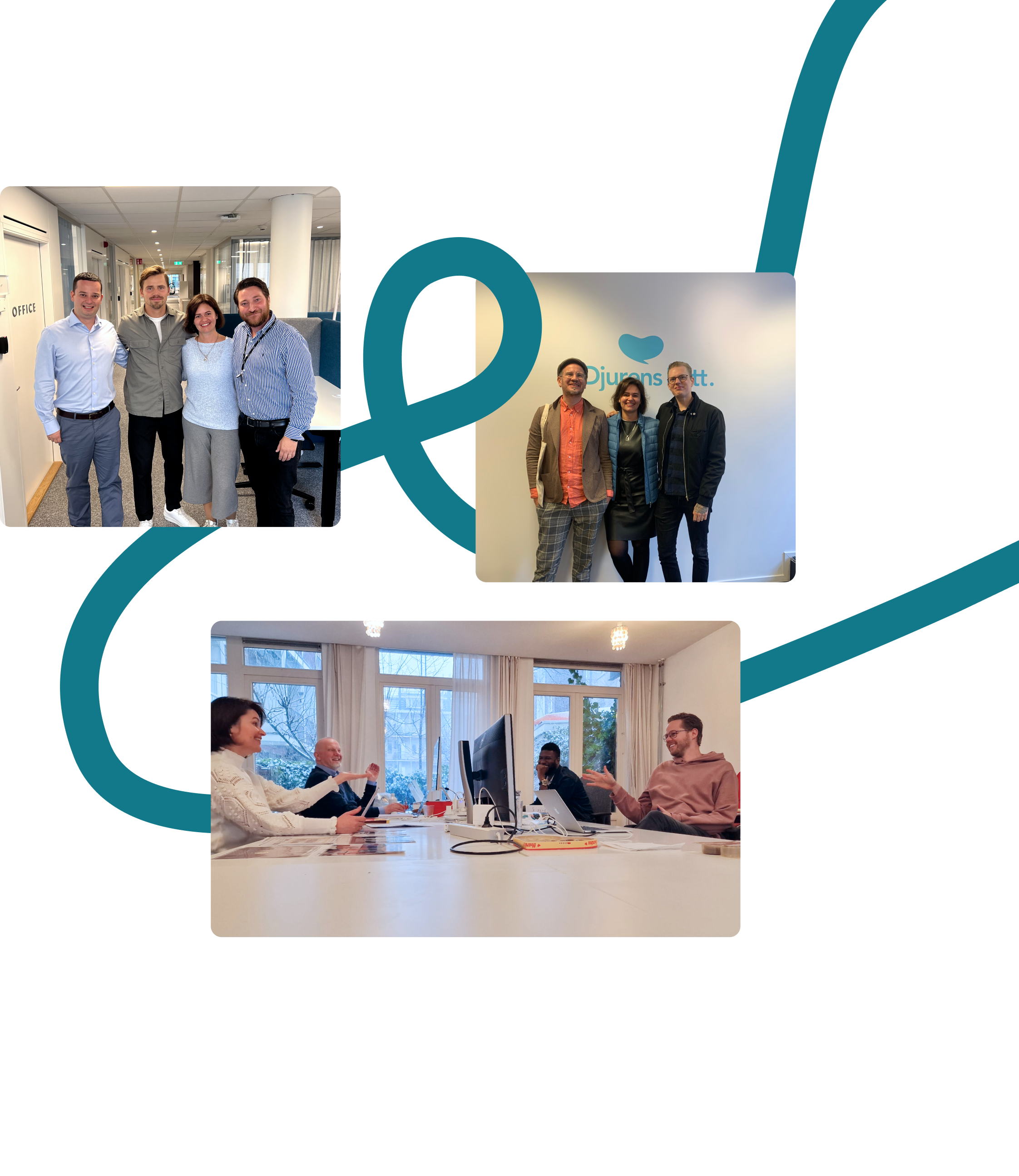 Partnership with Go Wombat