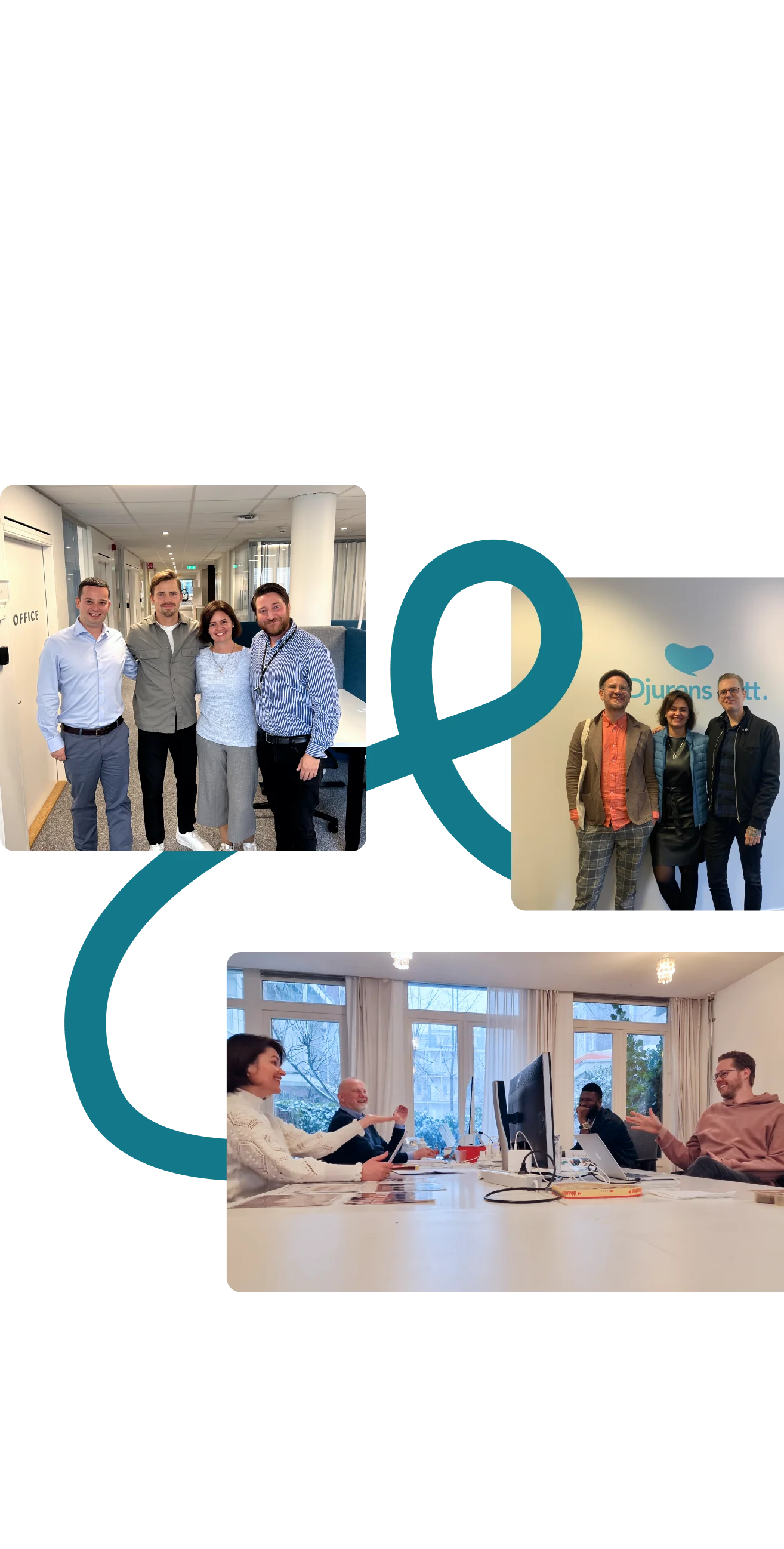 Partnership with Go Wombat